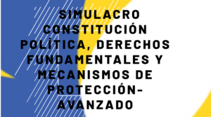 Simulacro Constitución Política, Derechos Fundamentales y Mecanismos de Protección – Avanzado